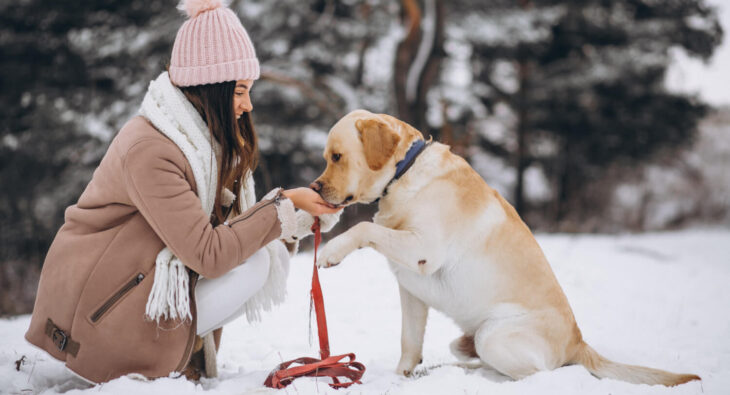 Jakie wybrać zimą akcesoria i ubrania dla psa?