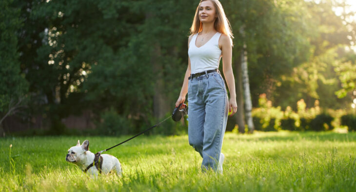 Wiosenny spacer z psem – o czym trzeba pamiętać?